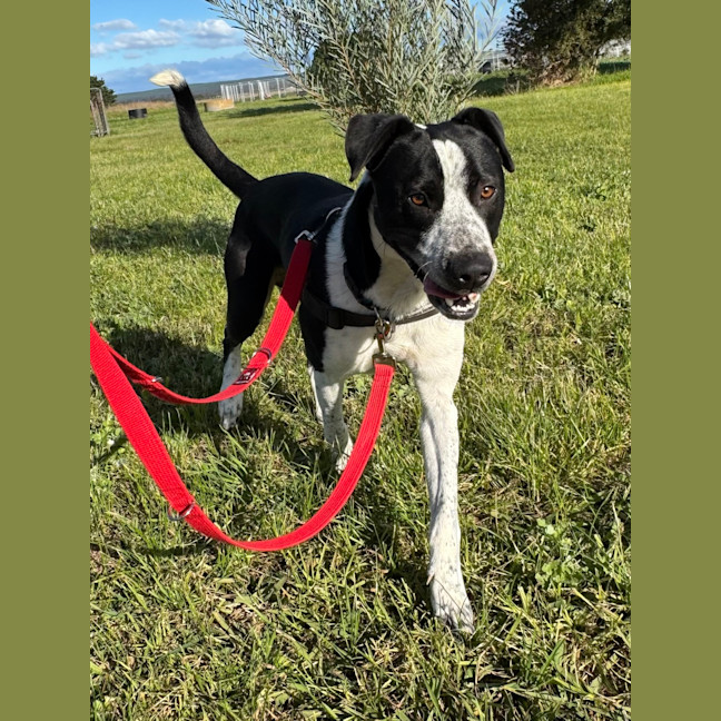 Photo of Mr. Wiggles