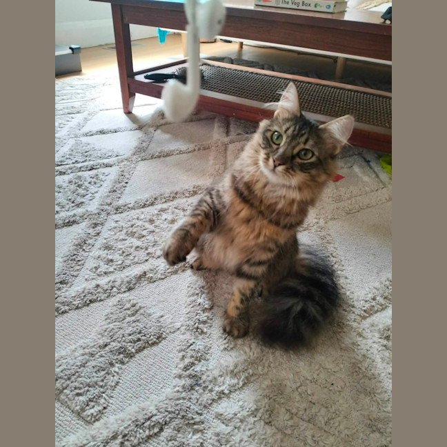 Photo of Polly Sasha