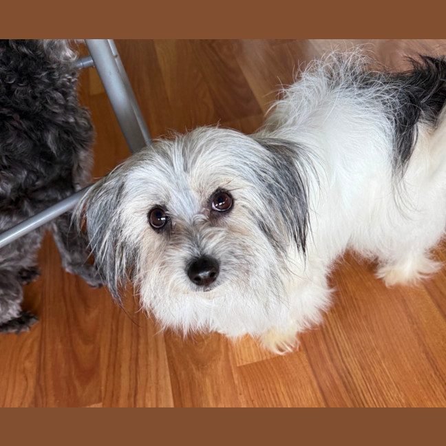 Photo of Hazel