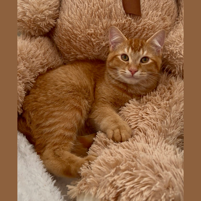 Photo of Bingo