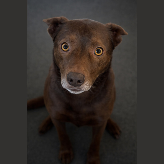 Photo of Pippa