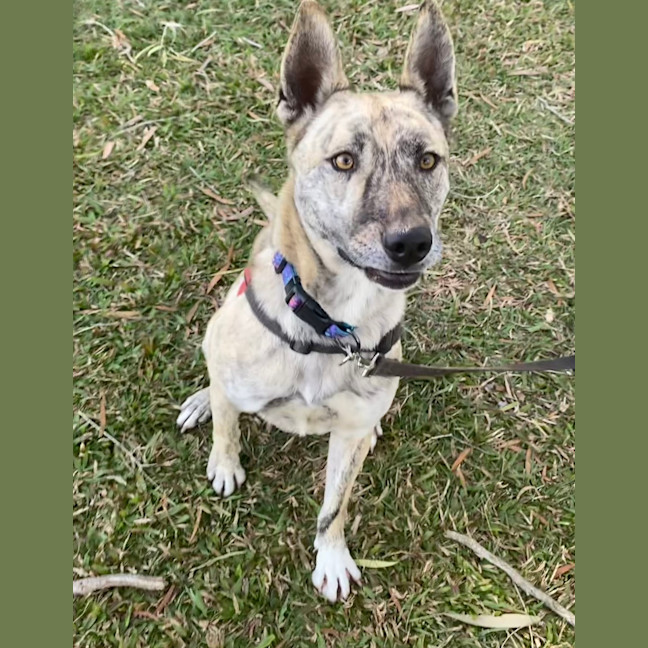 Photo of Luna