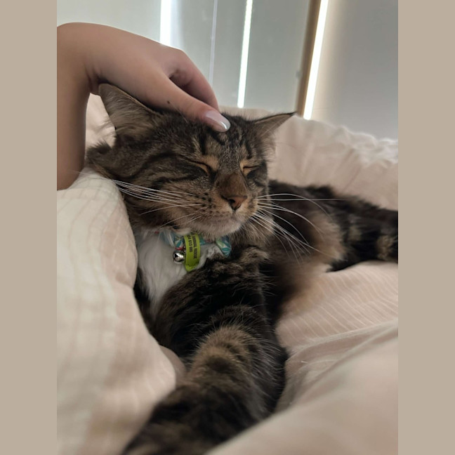 Photo of 🏴‍☠️ Pearl & Pirate 🏴‍☠️