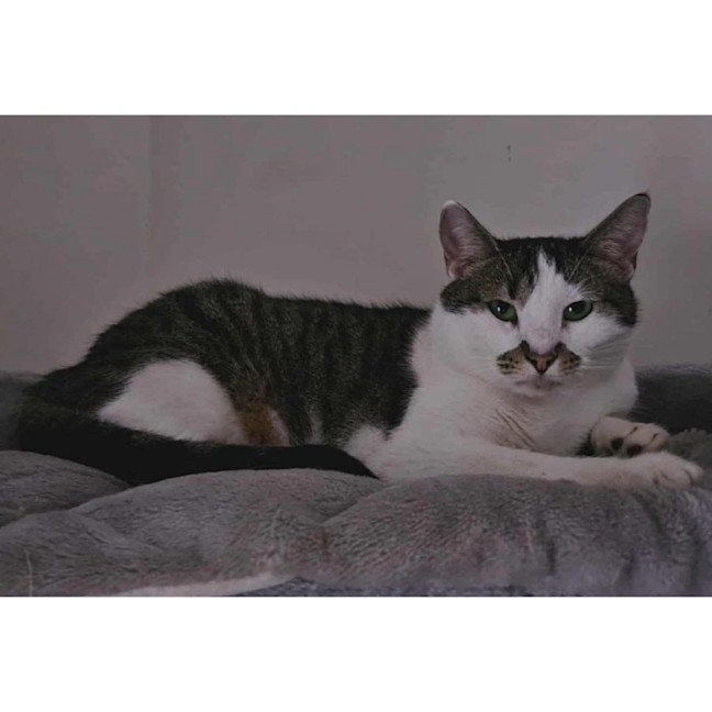 Photo of 5230   Miss Major 