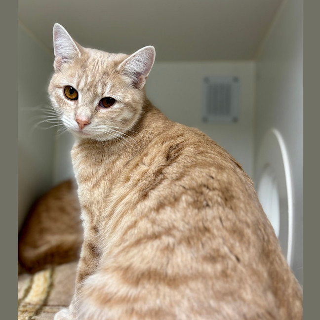 Photo of Miss Garfield