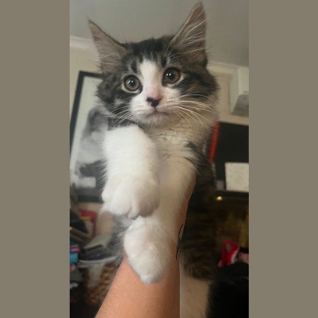 Photo of Bohdi & Lottie