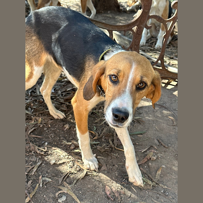 Photo of Phillip J Fry