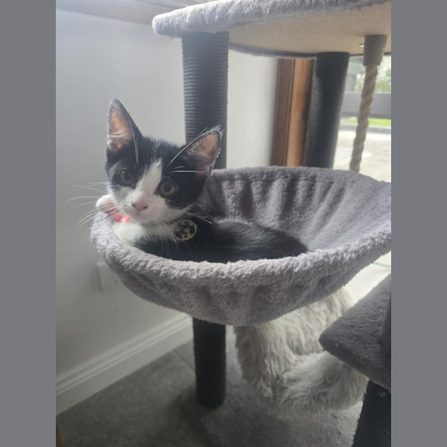 Photo of Jackie Chan