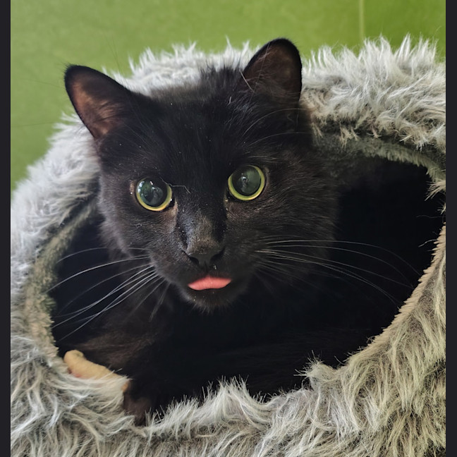 Photo of Zachary Binks