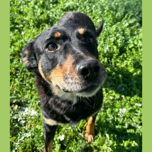 Photo of Coda