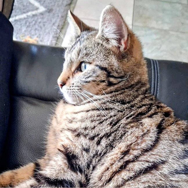 Photo of Titch