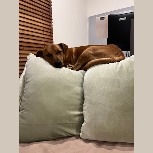 Photo of Diggie Smalls