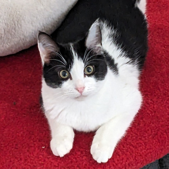 Photo of Asha   Located In Preston