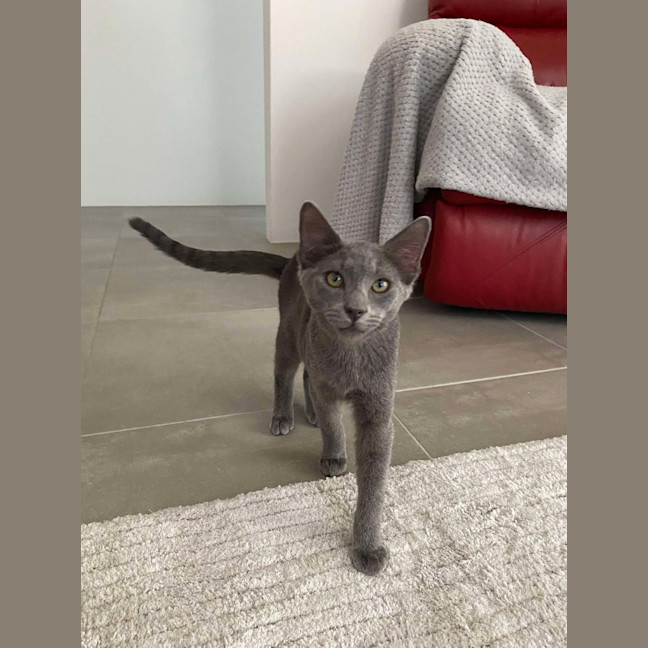 Photo of Zephyr