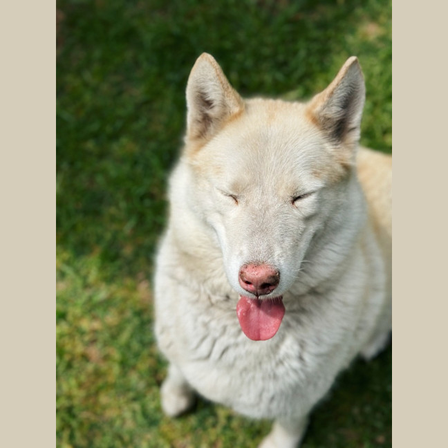 Photo of Narla