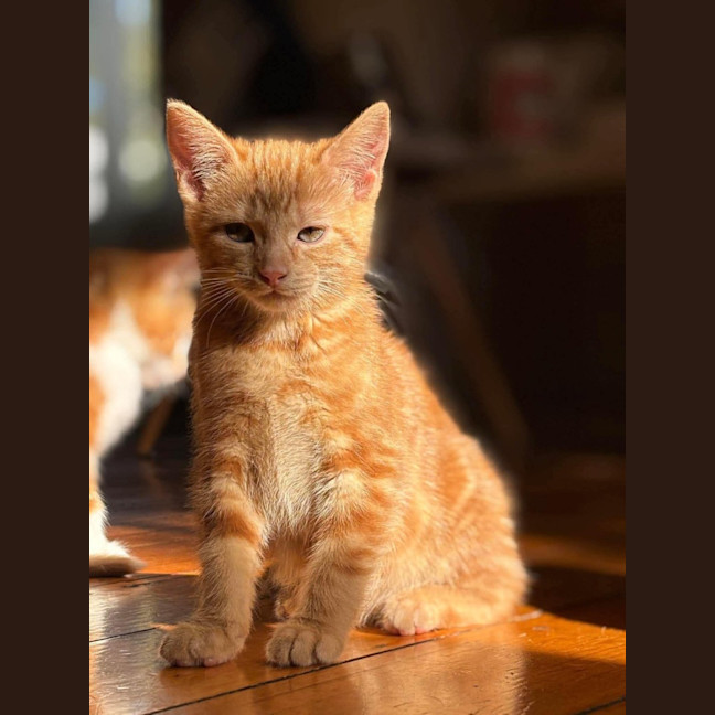 Photo of Clotho
