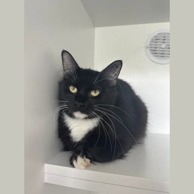Photo of Dorothy