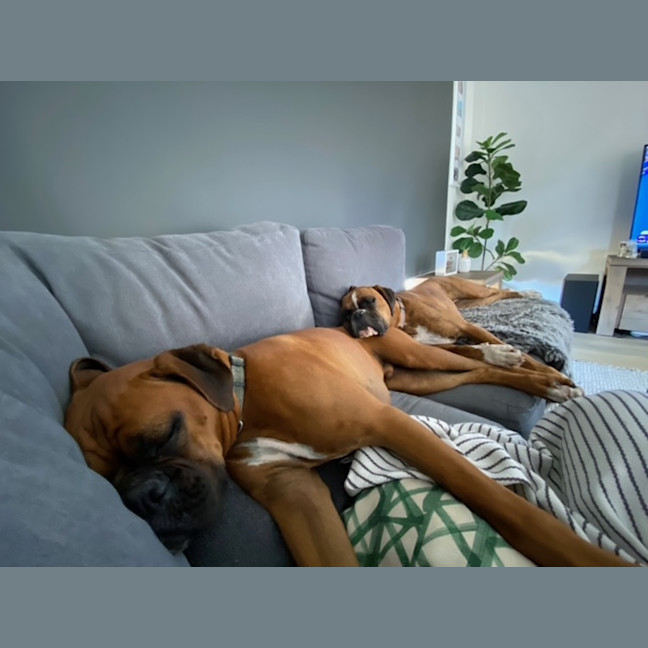 Photo of Lloyd And Harry