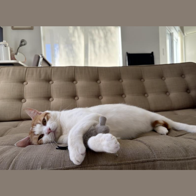 Photo of Clive