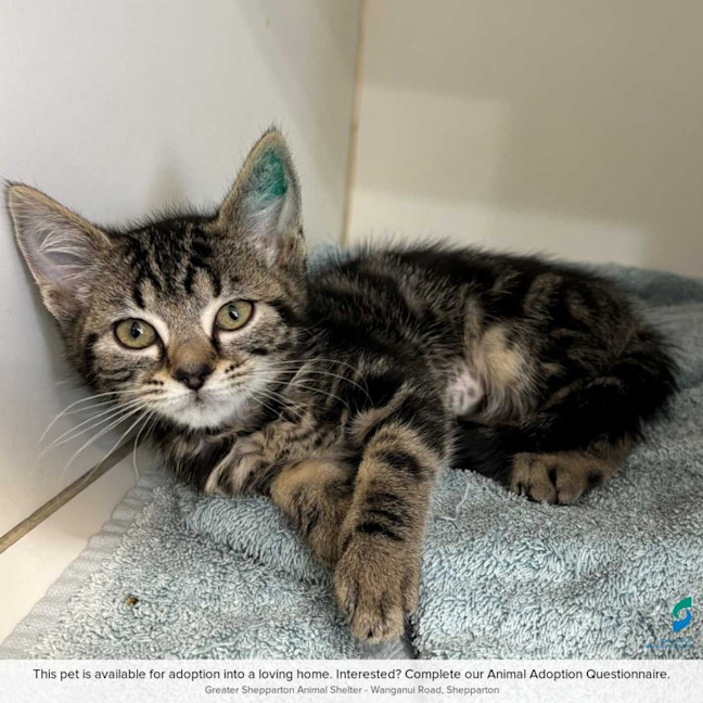 Photo of Mary
