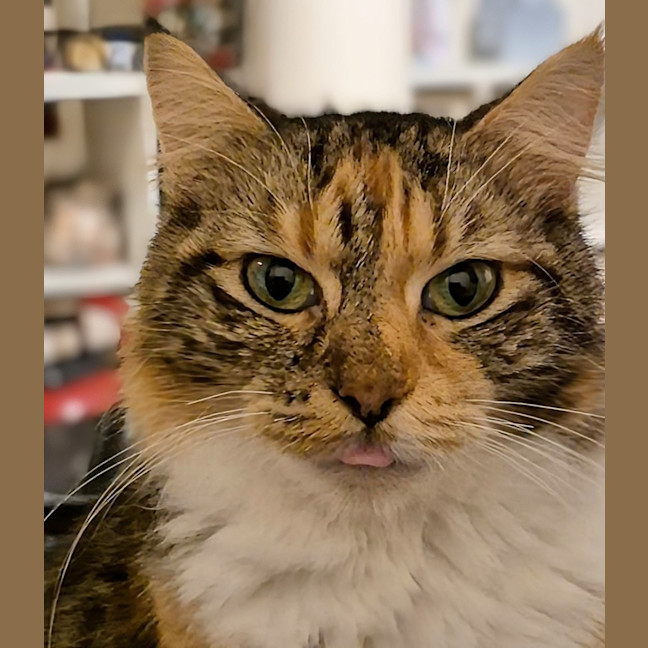 Photo of Miss Molly 