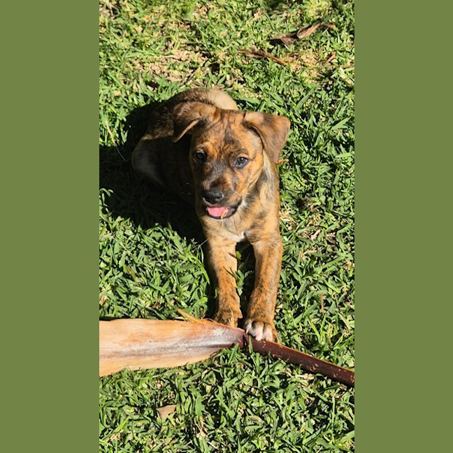 Photo of Sugar