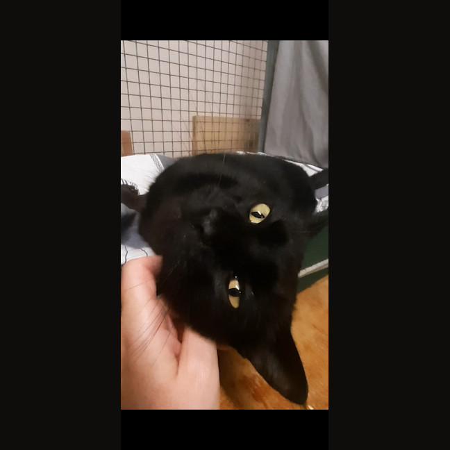Photo of Smoochy