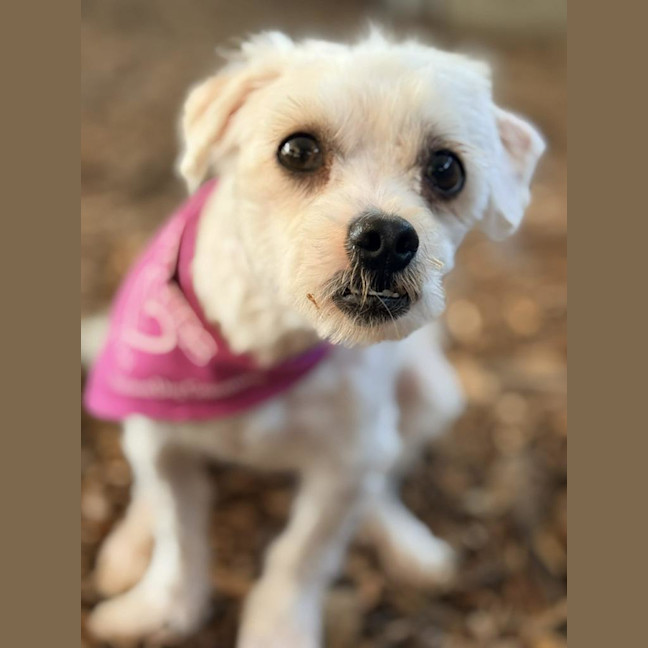 Photo of Murphy