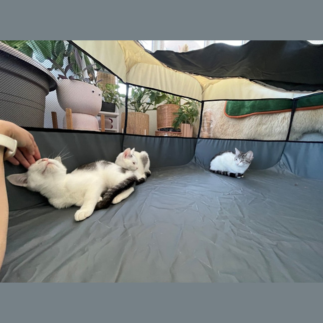 Photo of Alice (With Edward)