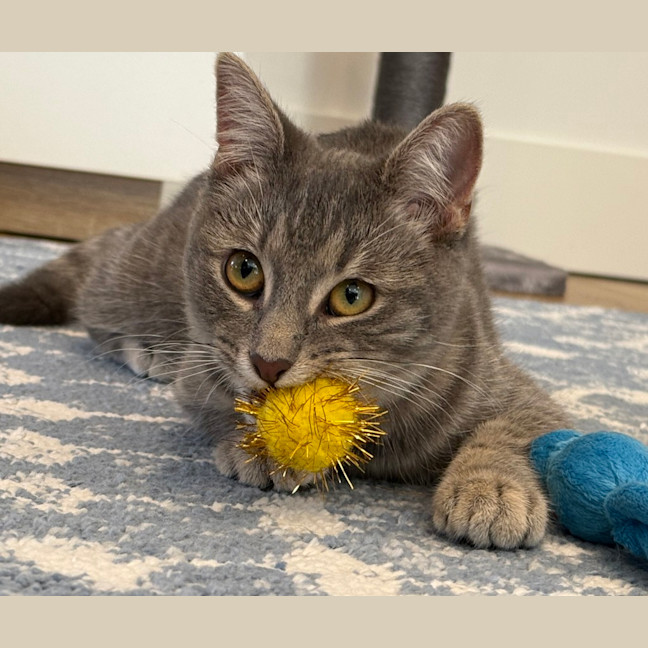 Photo of Roxy