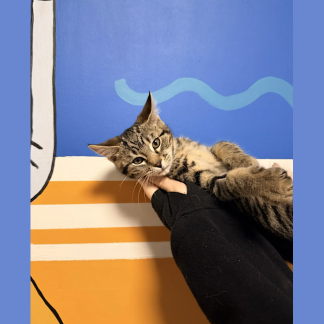 Photo of Miss Wren