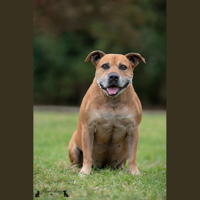 Photo of Bruce