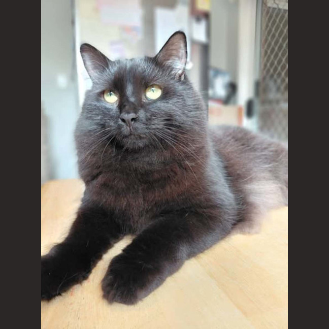 Photo of Deetz 