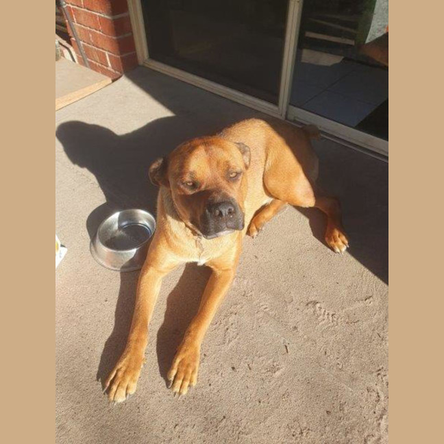 Photo of Skye Peggotty