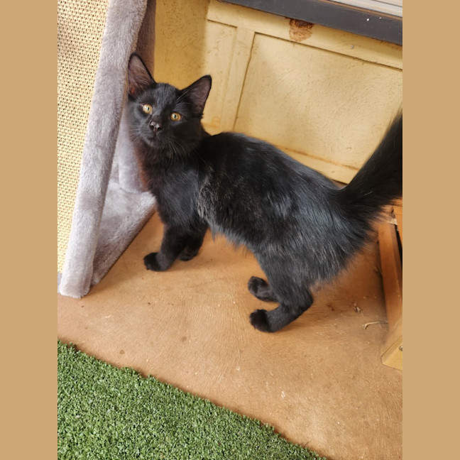 Photo of Jet