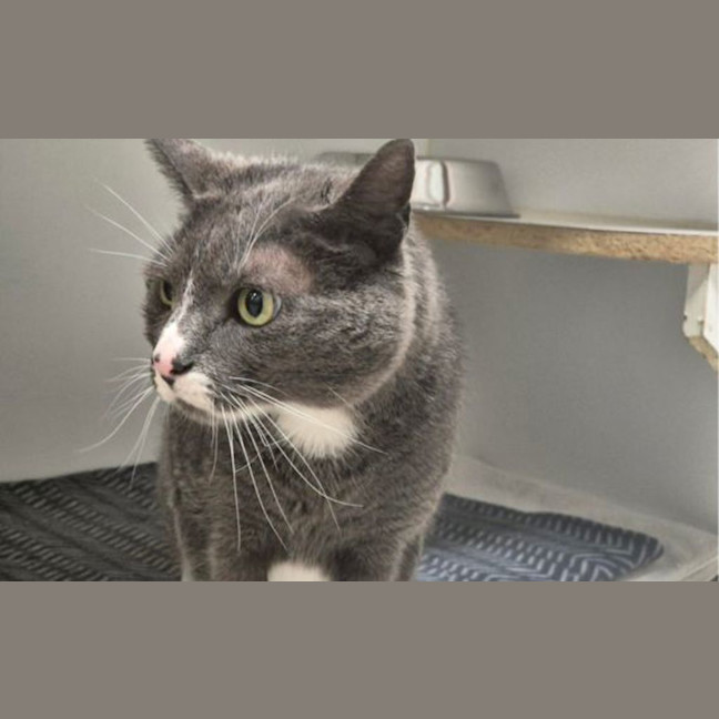 Photo of Charley