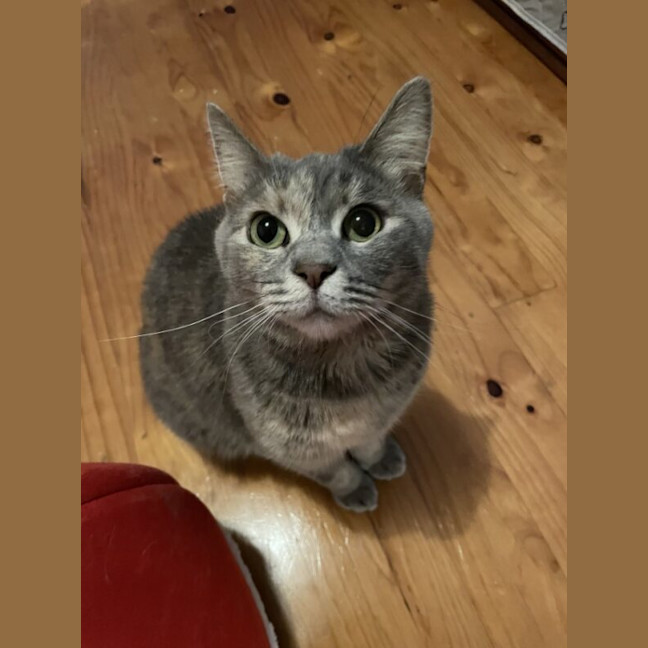 Photo of Pixie