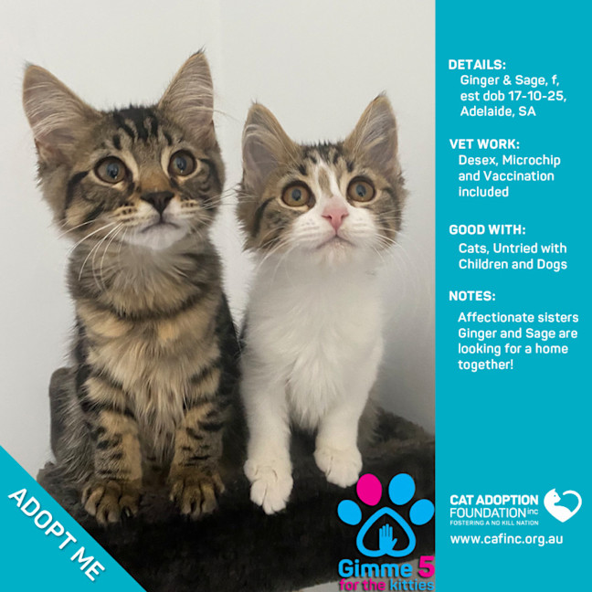 Photo of Ginger And Sage