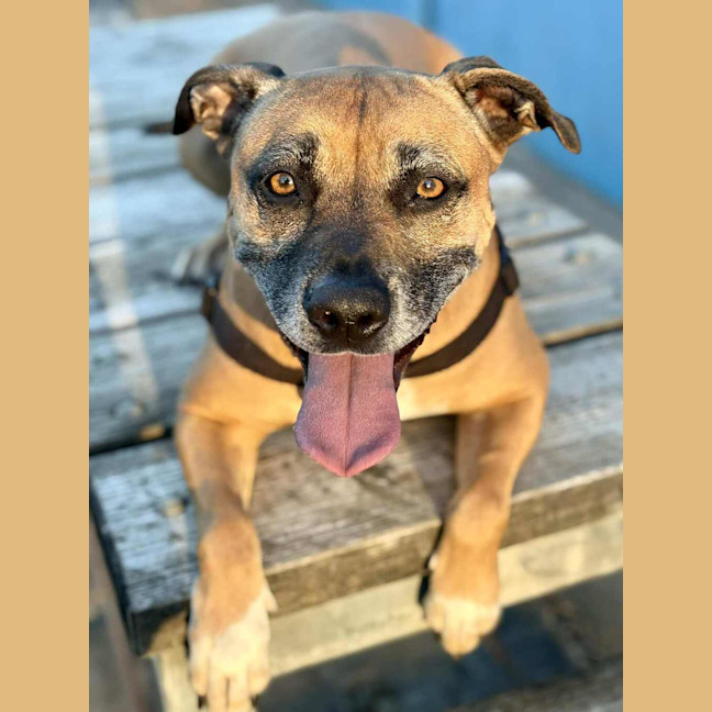 Photo of Luna