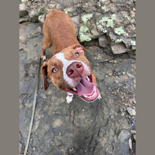 Photo of Fred