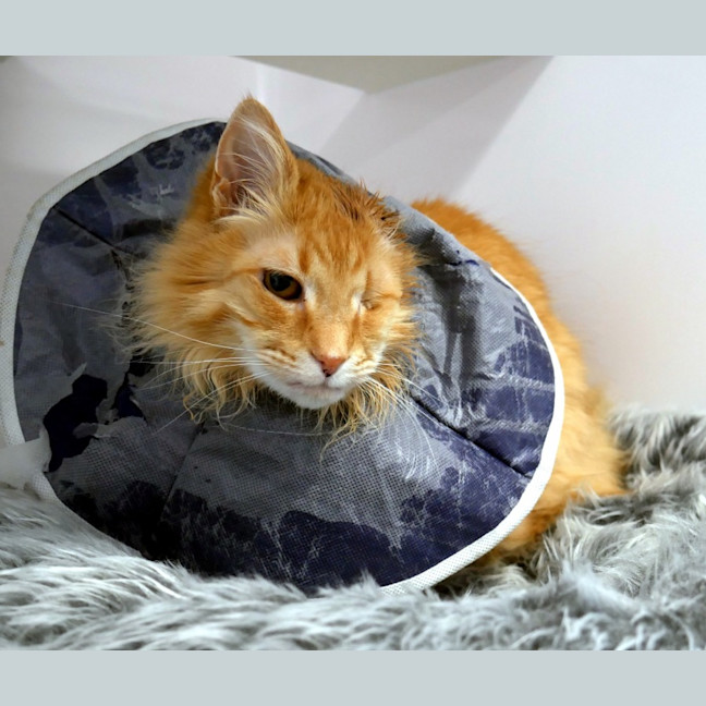 Photo of Evie Sta012829