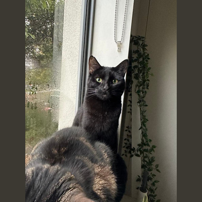 Photo of Milo   Malvern 