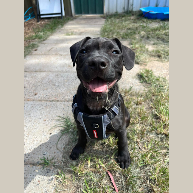 Photo of Bruce