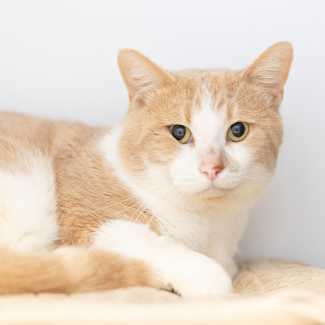 Photo of Boinky