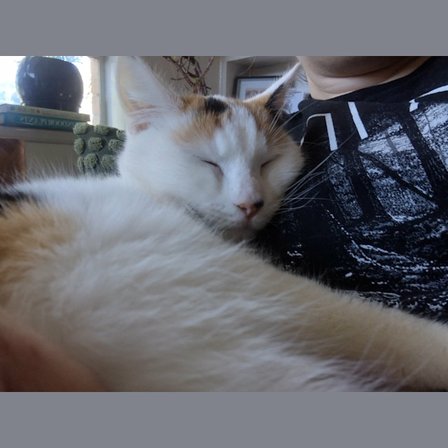 Photo of Sigrid