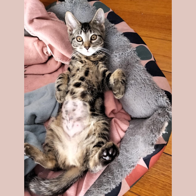 Photo of 🌼 Dakota 🌼