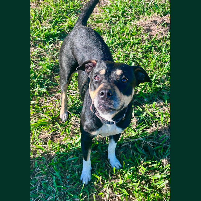 Photo of Tess