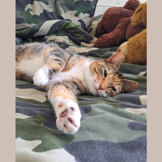 Photo of Tilly