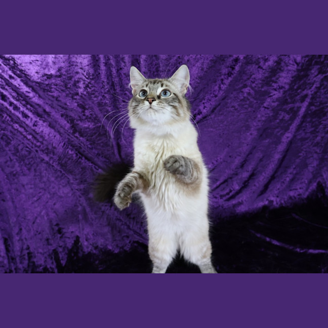 Photo of Cisco