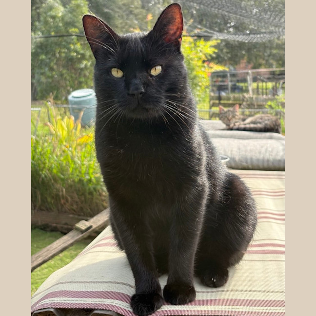 Photo of Gus